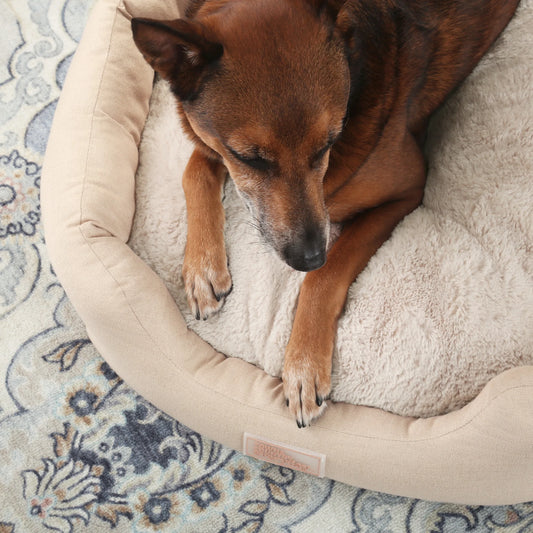 EVERYDAY Cuddletown Faux Linen Comfy Cozy Cuddler Pet Bed, Supportive & Calming, Water Repellent, Non-Slip Bottom, Machine Washable Cover, Beige, Small 22"X20"X7"